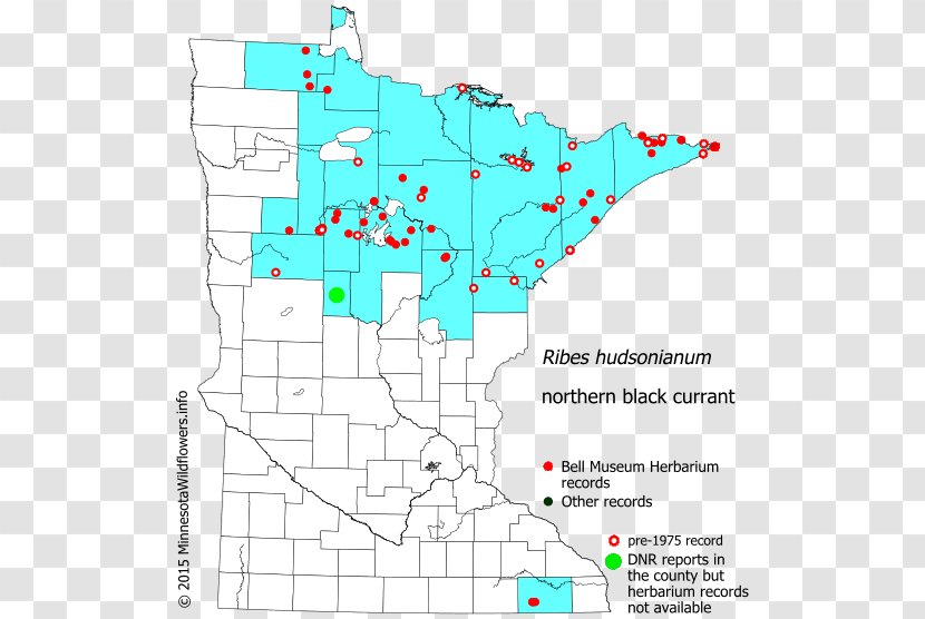 Line Land Lot Point Map Tuberculosis - Diagram Transparent PNG