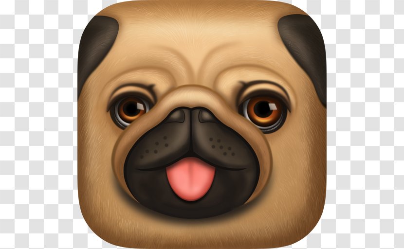 Pug Puppy Dog Breed Toy - Couple Transparent PNG