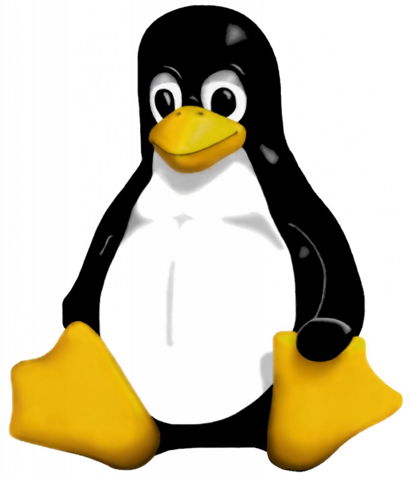 Penguin Tux Linux Operating Systems Computer Software Transparent PNG