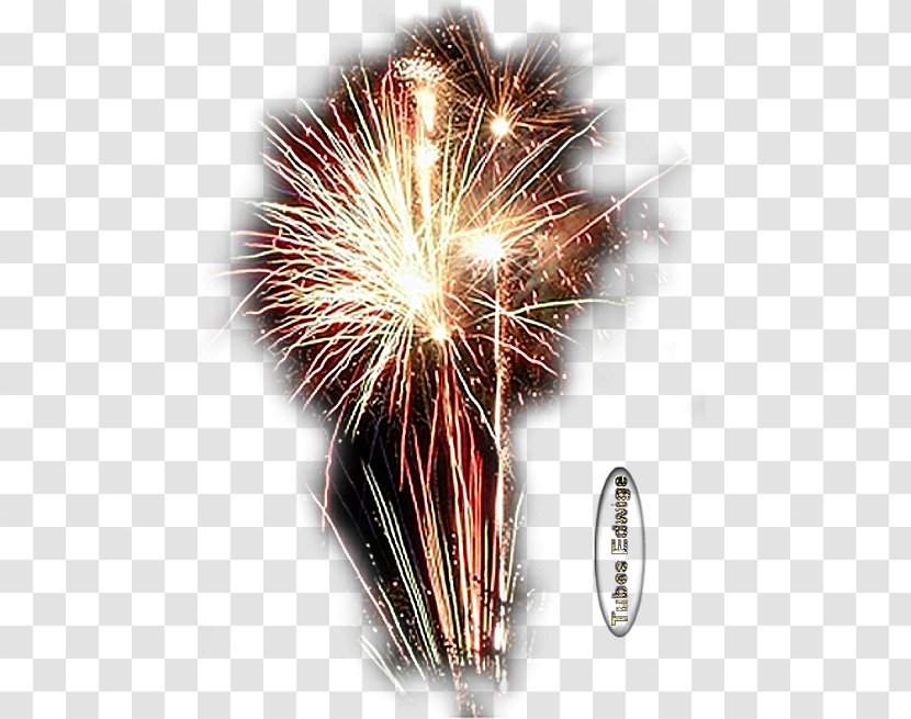 Fireworks Explosive Material Web Hosting Service New Year - Party Transparent PNG