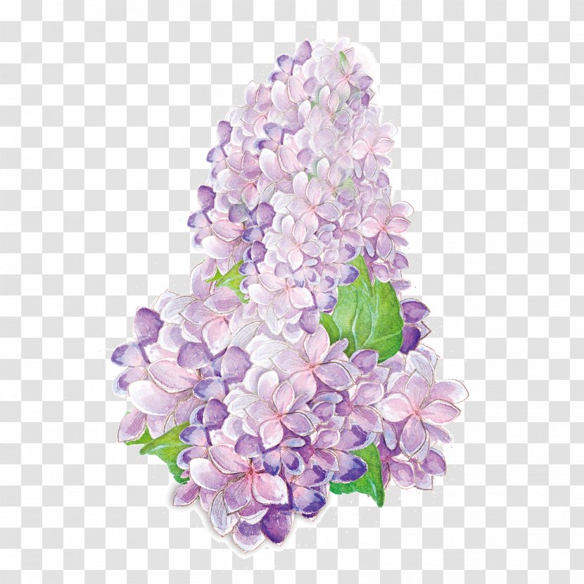 Purple Blossom - Floristry - Flower Transparent PNG