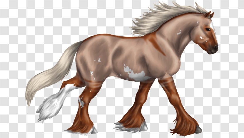 Mane Mustang Foal Stallion Colt - Bridle Transparent PNG