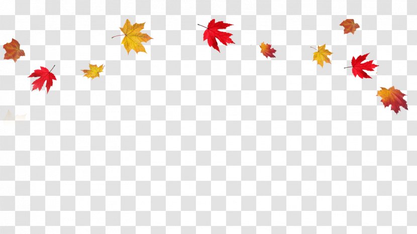 Autumn Leaf Color Clip Art - Document - Transparent Fall Leaves Border Transparent PNG