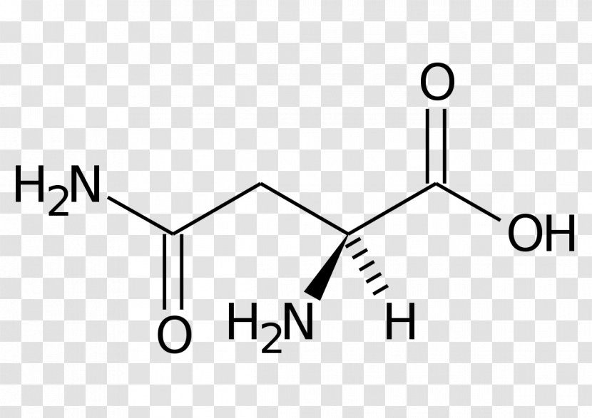 Chemical Formula Asparagine Amino Acid Structural - Triangle - Asparagus Transparent PNG