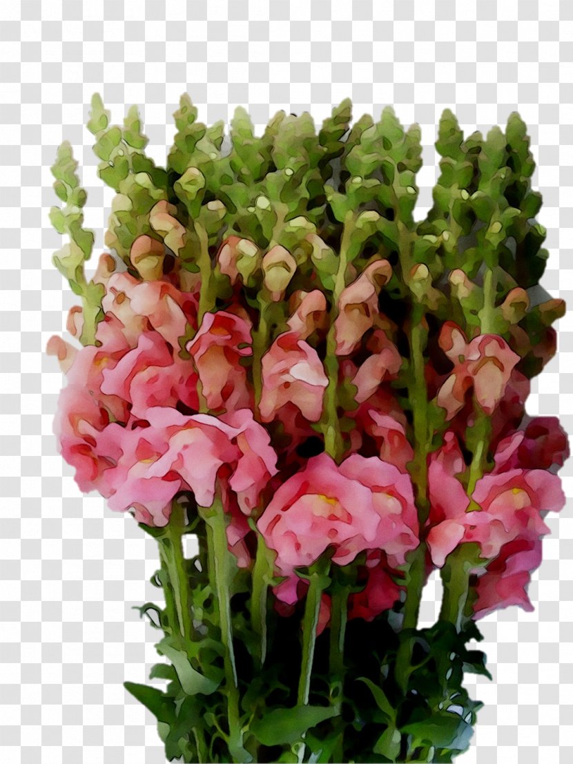 Cut Flowers Floral Design Flower Bouquet Annual Plant - Tulip Transparent PNG