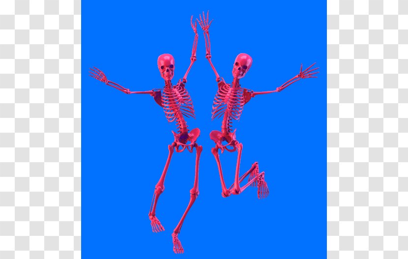 Skull Skeleton - Imvu Transparent PNG