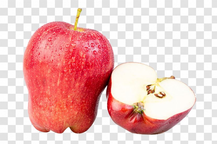 McIntosh Red Delicious - Snake - Picture Transparent PNG