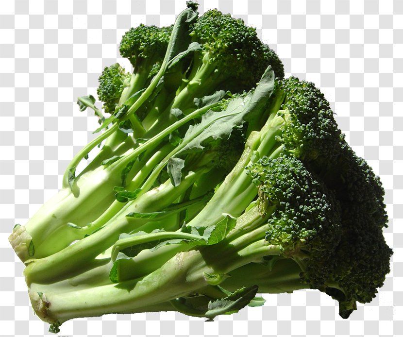 Broccoli Food Potassium Health Cruciferous Vegetables - Rapini - Brocoli Transparent PNG