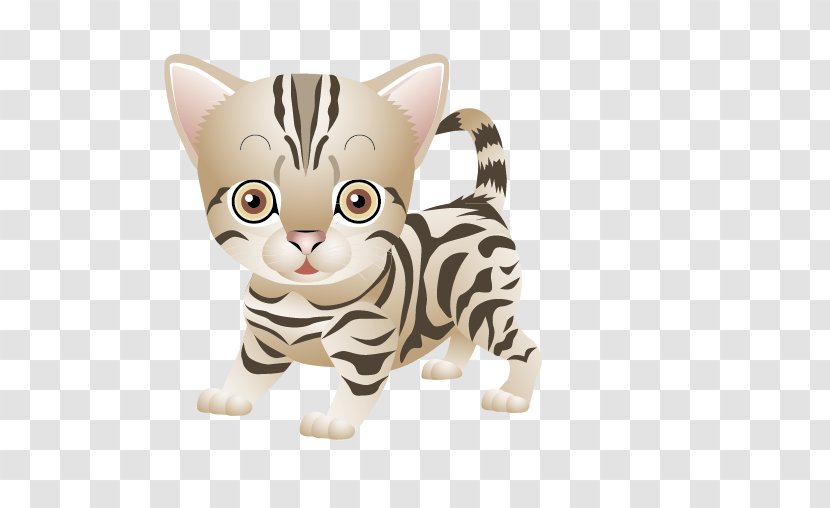 American Shorthair T-shirt Kitten Clip Art - Domestic Short Haired Cat Transparent PNG
