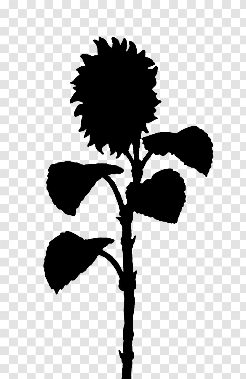 Silhouette - Tree - Flowering Plant Transparent PNG