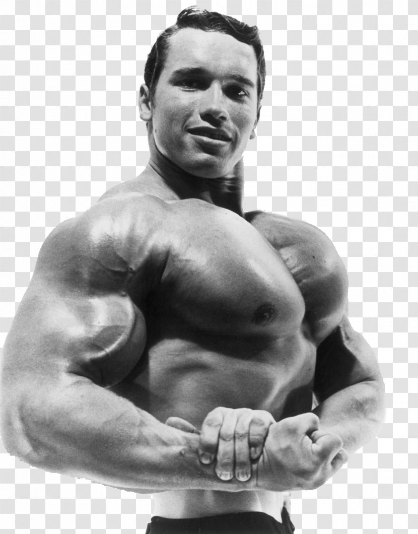 Arnold Schwarzenegger Mr. Olympia Universe Championships Bodybuilding Actor - Frame Transparent PNG