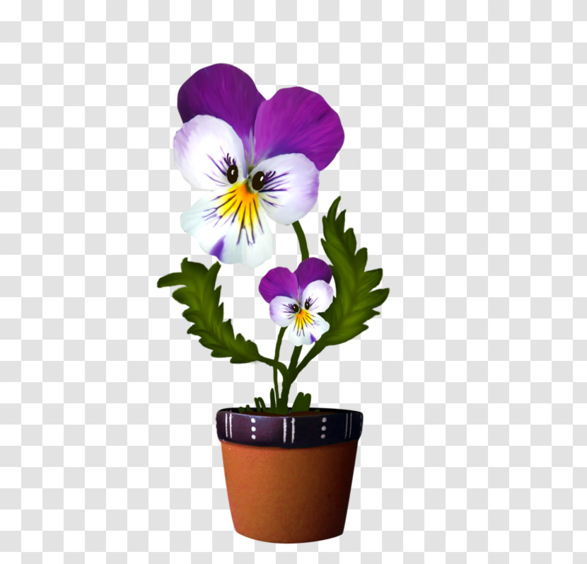 Flower Plant Wild Pansy Violet Pansy Transparent PNG