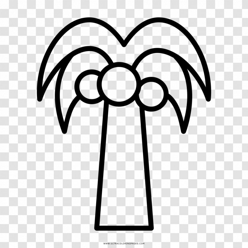Drawing Coloring Book Coconut Tree Black And White - Dante Coco Transparent PNG