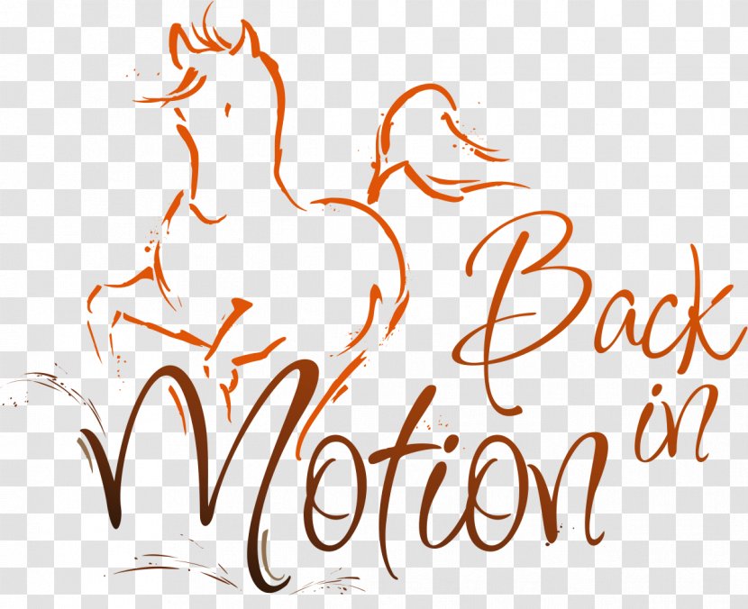 Horse Veterinarian Neumünster Back In Motion - Pain - Veterinärchiropraktik & Sattelanalyse Dr. Med. Vet. Silke Pohl ChiropracticHorse Transparent PNG