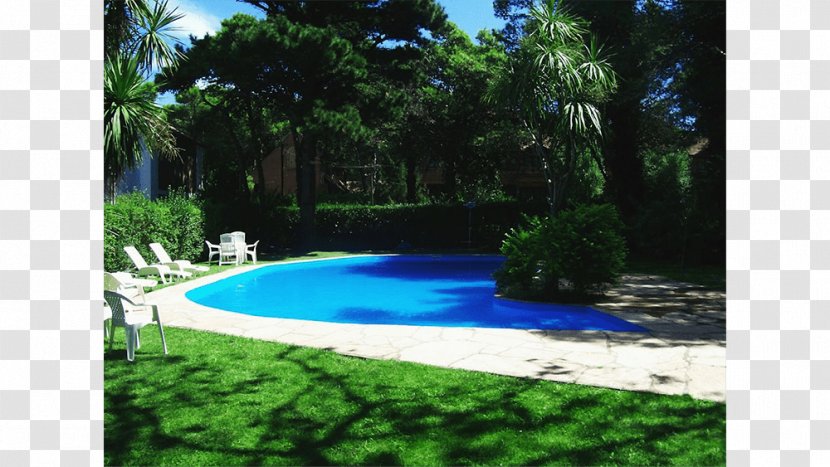 Swimming Pool Majorelle Blue Garden Backyard Resort - Vacation Transparent PNG