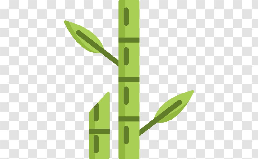 Bamboo Vector - Leaf - Green Transparent PNG