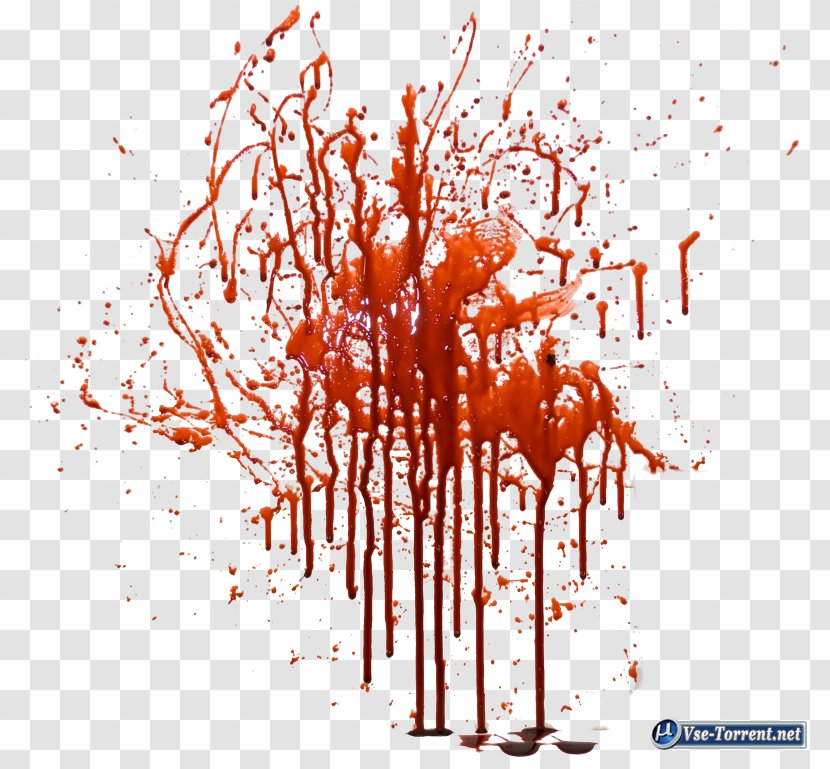 Clip Art Image Adobe Photoshop Photograph - Branch - Blood Cartoon Transparent PNG