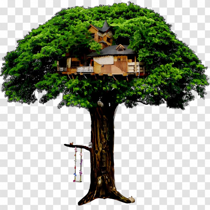 Flowerpot Bonsai Branching - Tree - House Transparent PNG