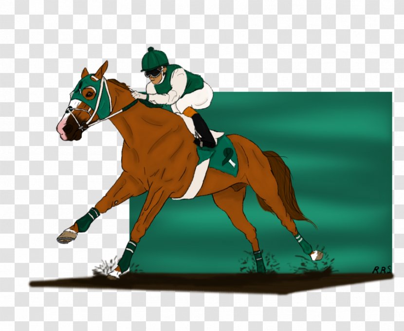 Stallion Equestrian Rein Mustang Mare Transparent PNG