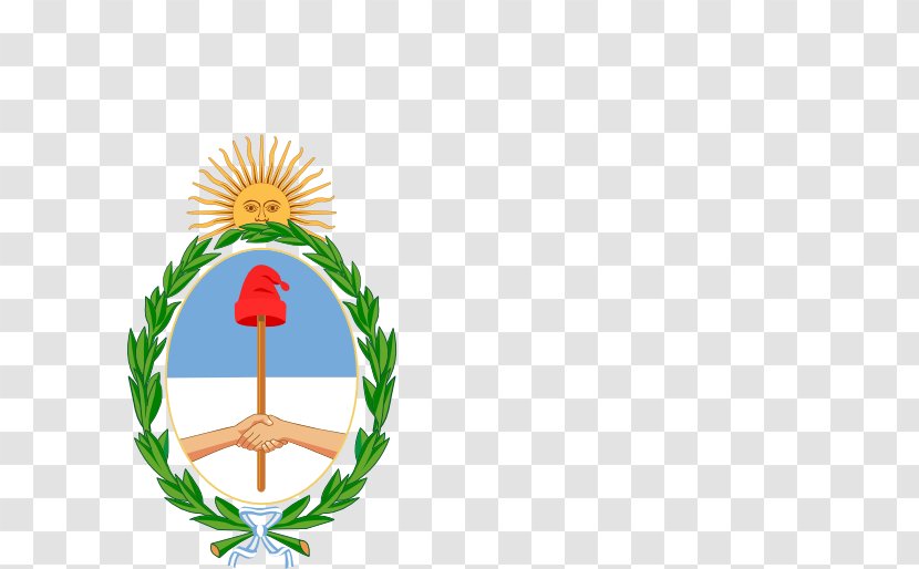 Flag Cartoon - National Symbol - Emblem Argentina Transparent PNG