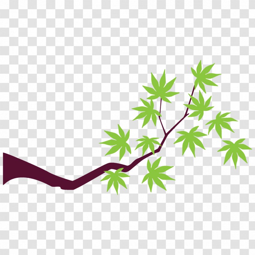 Maple Branch Leaves Tree - Flower Plant Stem Transparent PNG