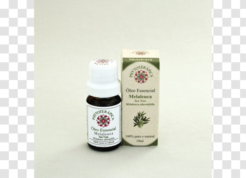 Narrow-leaved Paperbark Tea Tree Oil Essential Aromatherapy - Citronella Transparent PNG