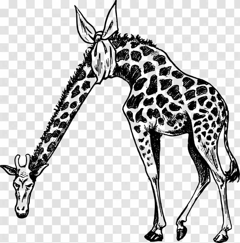 Giraffe Drawing Clip Art - Horse Like Mammal Transparent PNG