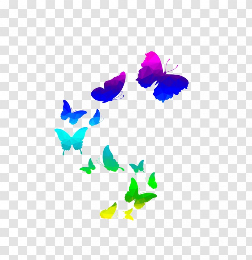 Poster - Petal - Butterfly Transparent PNG