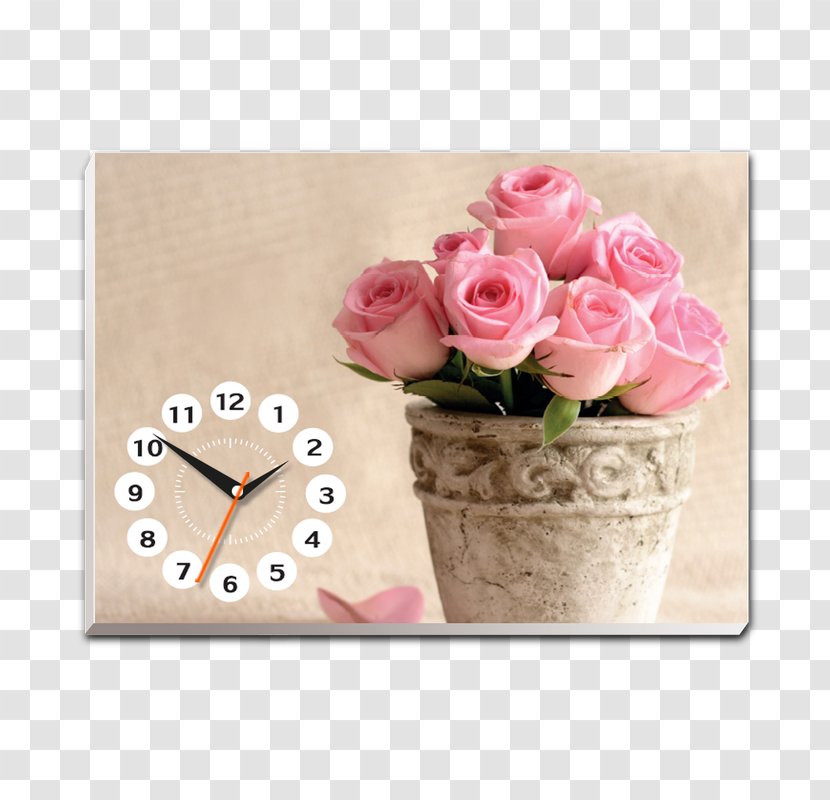 IPhone 6 Desktop Wallpaper Flower Rose - Garden Roses Transparent PNG