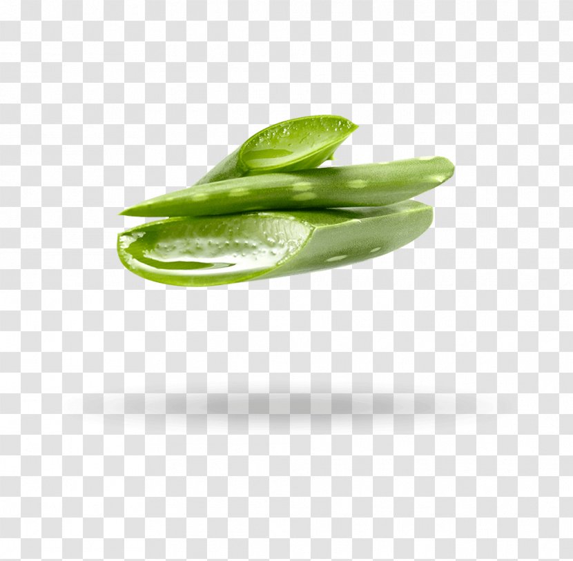 Edamame Close-up - Vegetable - Lima Bean Transparent PNG