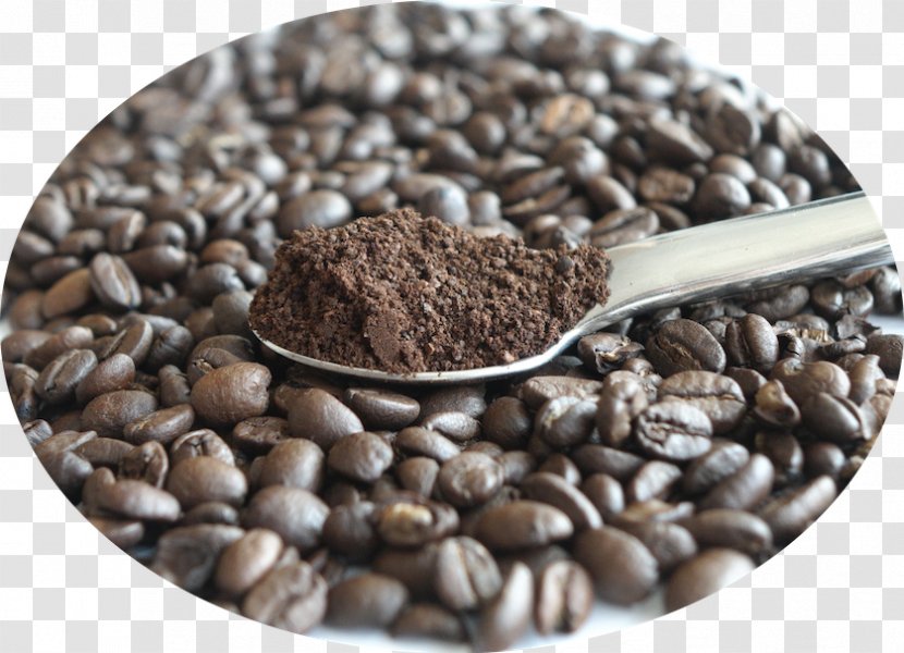 Jamaican Blue Mountain Coffee Superfood - Seed - Floating Chips Transparent PNG