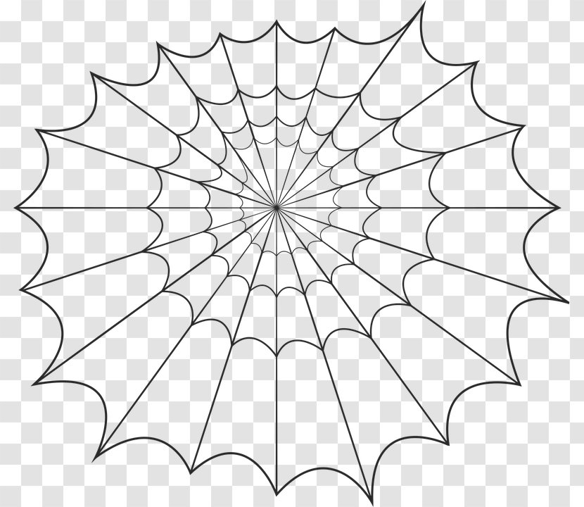 Spider Silk Web Clip Art Transparent PNG