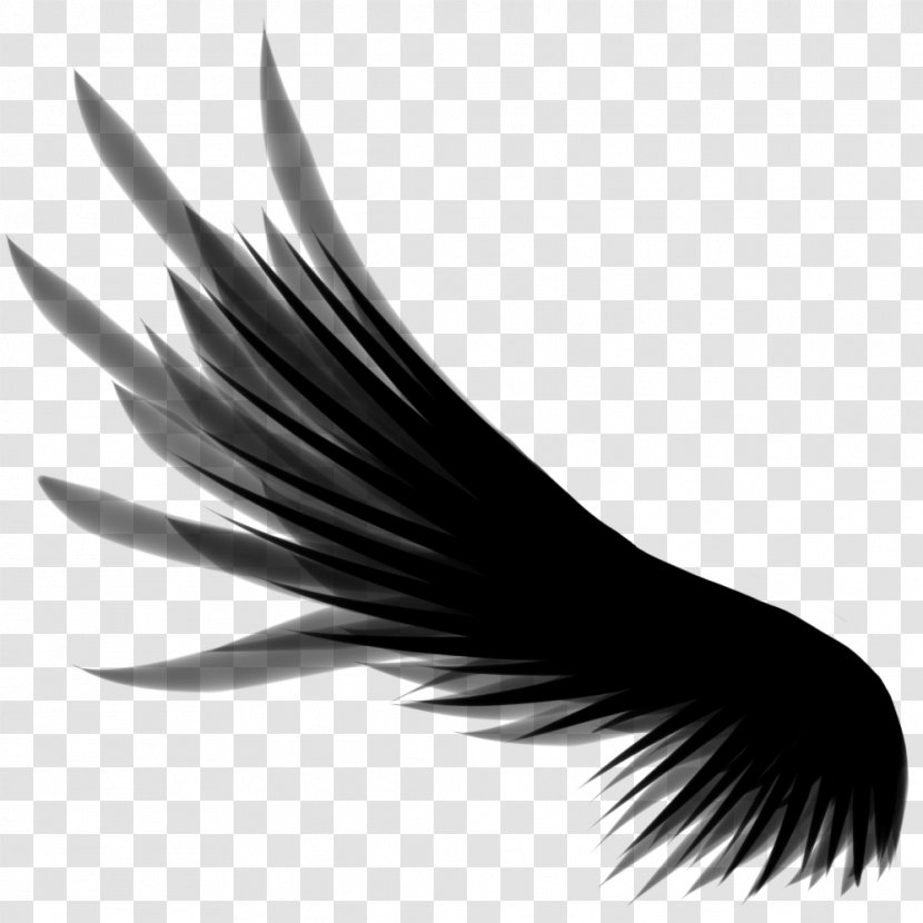 Wing Clip Art - Black And White - Wings Transparent PNG