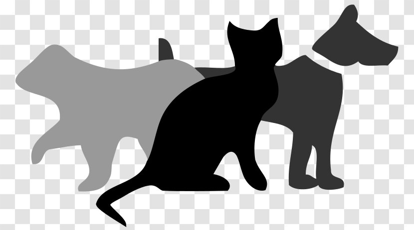 Warriors Bluestar's Prophecy Cat Wikipedia Clip Art - Black And White - Dog Pictures Transparent PNG