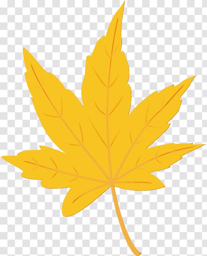 Maple Leaf - Black Transparent PNG