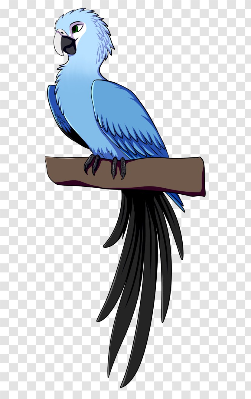 Parrot Bird Spix's Macaw Parakeet - Fauna Transparent PNG