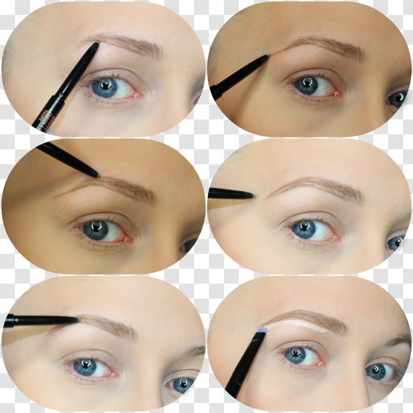 Eyelash Extensions Eye Liner Lip - Artificial Hair Integrations - Bushy Eyebrows Transparent PNG