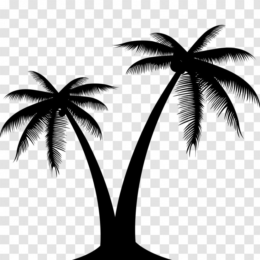 Vector Graphics Clip Art Palm Trees Image - Arecales - Silhouette Transparent PNG