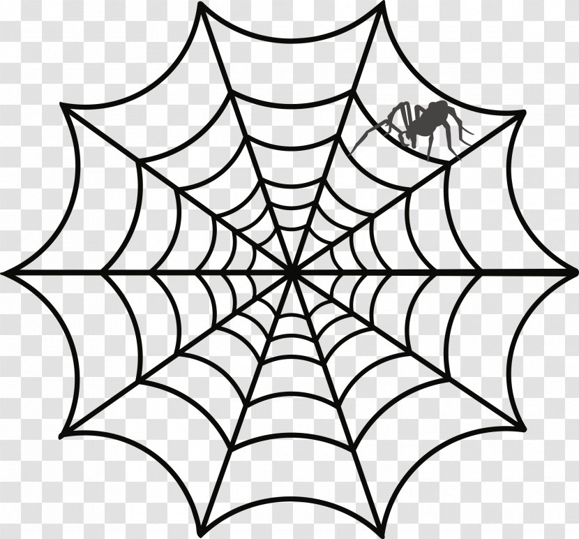 Spider Web Drawing - Plant Stem Transparent PNG