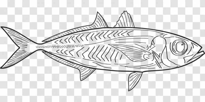 Line Art Drawing Sardine Coloring Book - Black And White - INK FISH Transparent PNG