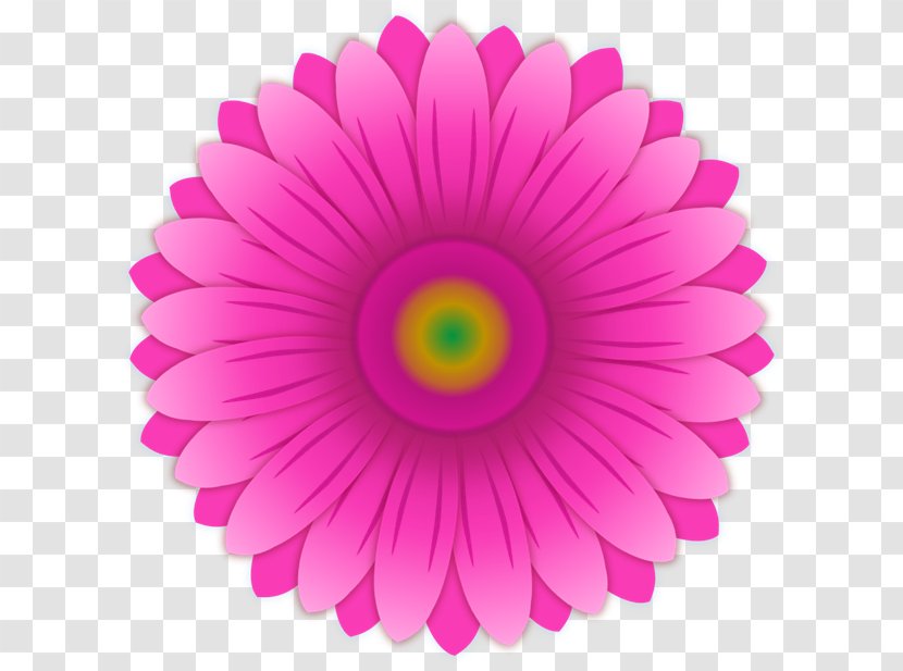 Color Pink Gerbera Jamesonii Common Daisy - Purple Transparent PNG