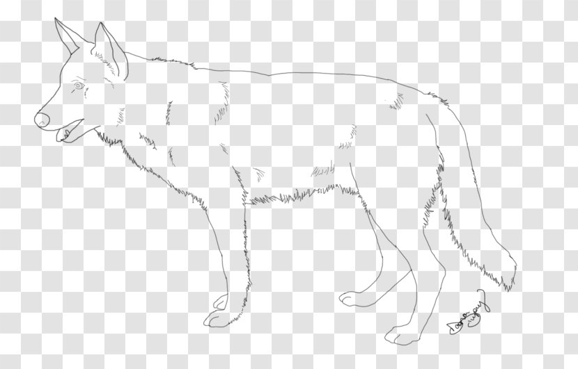 Dog Breed Red Fox Line Art Whiskers - Wolf Transparent PNG