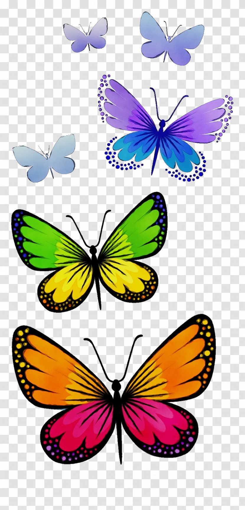 Moths And Butterflies Butterfly Insect Pollinator Wing Transparent PNG