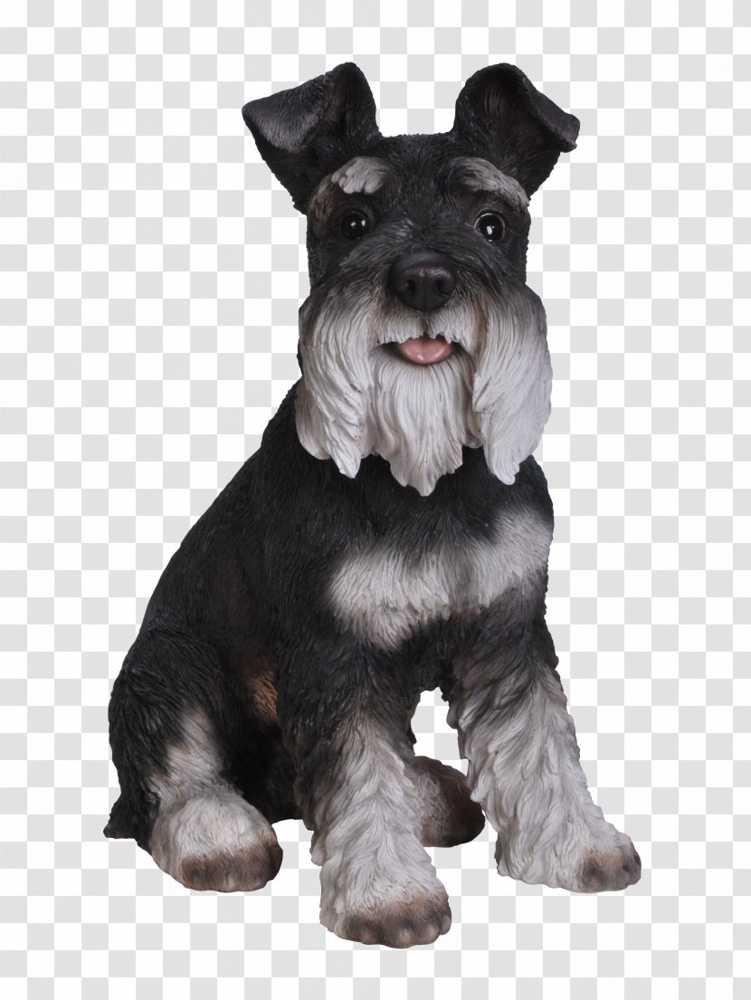 Miniature Schnauzer Standard Scottish Terrier Puppy Cesky Transparent PNG