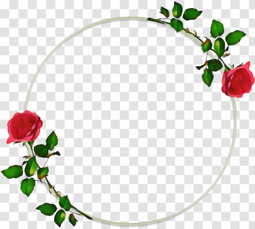 Background Watercolor Frame - Garden Roses - Fashion Accessory Plant Transparent PNG