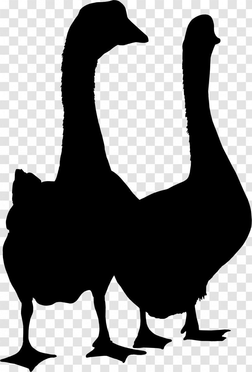 Duck Goose Clip Art Fauna Silhouette - Bird - Livestock Transparent PNG