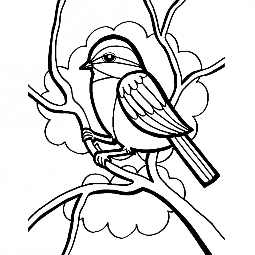 Bird Parrot Owl Coloring Book Penguin - Wing - Sparrow Transparent PNG