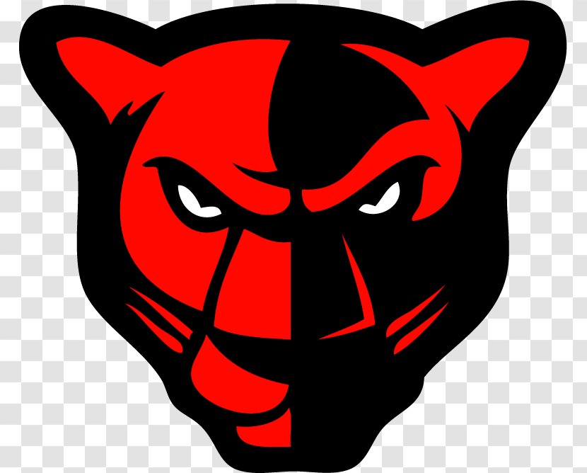 Petal School District High Hattiesburg Carolina Panthers National Secondary - American Football Transparent PNG