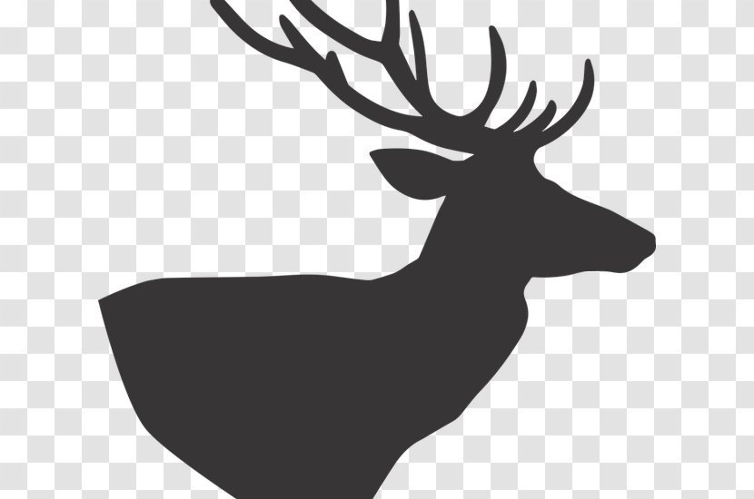 Reindeer Photography Hunting Sika Deer - Black And White Transparent PNG