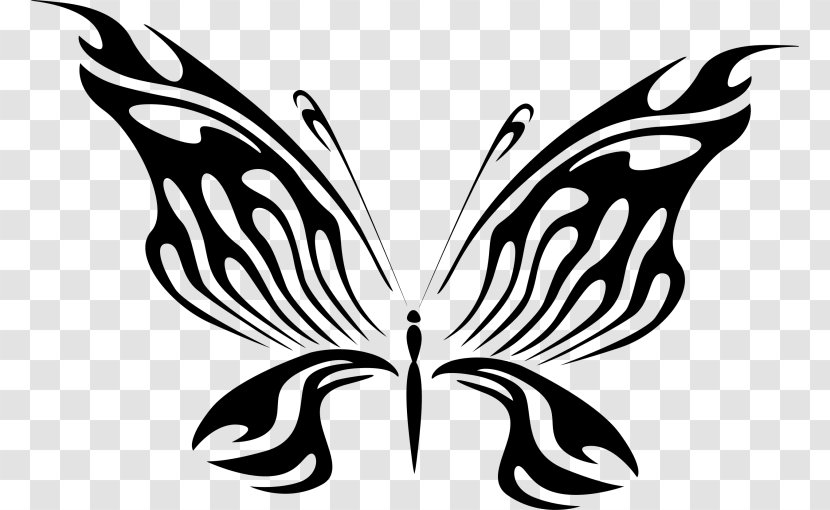 Butterfly Line Art Clip - Butterflies And Moths Transparent PNG